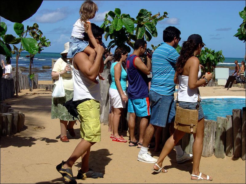 gal/holiday/Brazil 2005 - Praia de Forte/Praia_de_Forte_Aquarium_DSC06801.JPG